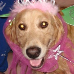 Meet your Posher, Roberta